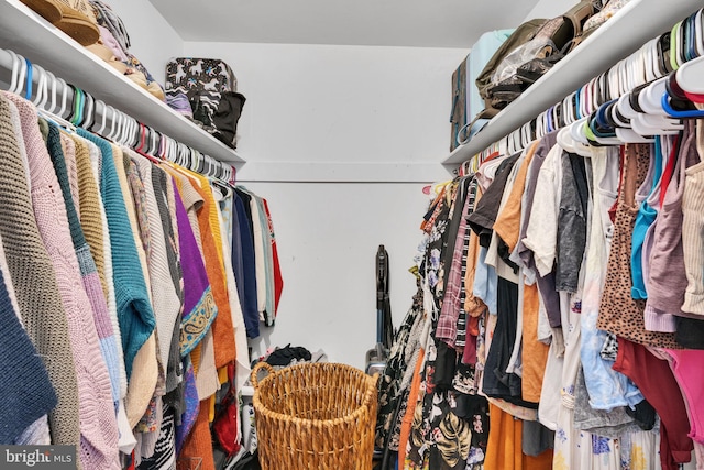 view of spacious closet