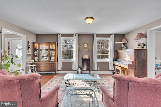 living room with hardwood / wood-style flooring