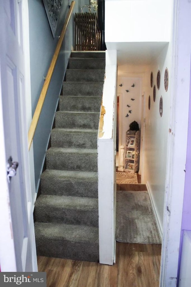 stairway featuring hardwood / wood-style flooring