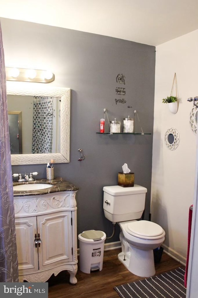 bathroom featuring vanity, toilet, and wood-type flooring