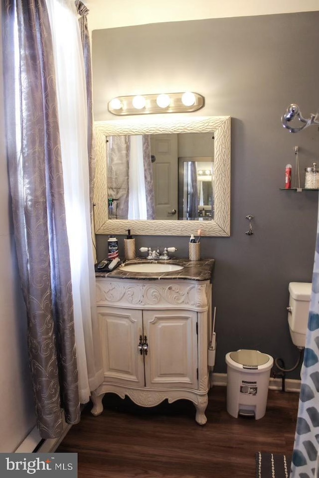 bathroom featuring hardwood / wood-style floors and vanity