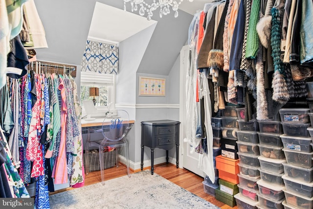 spacious closet with wood-type flooring