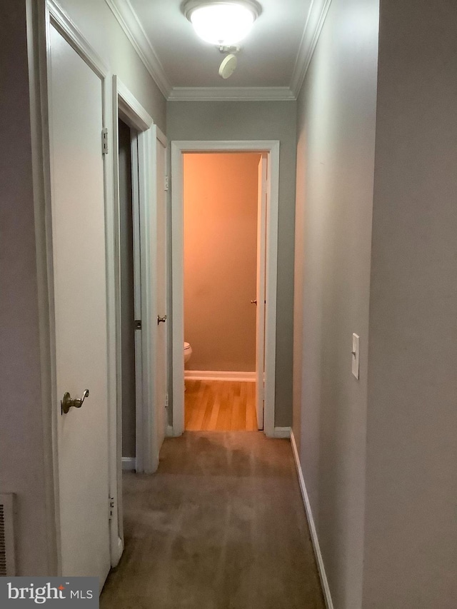 corridor featuring carpet and ornamental molding