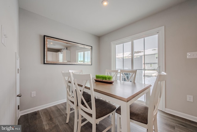 dining room with dark hardwood / wood-style flooring