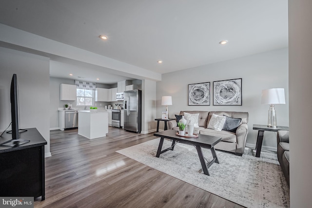 living room featuring sink and hardwood / wood-style floors