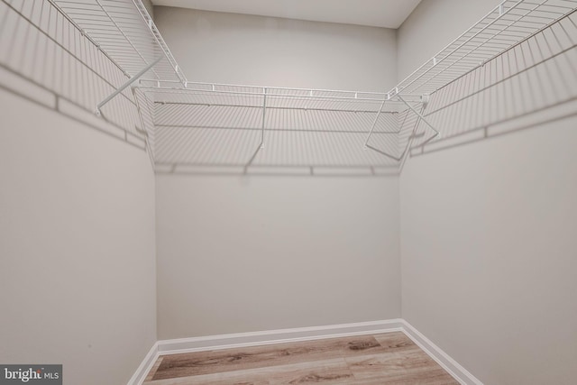 walk in closet featuring light hardwood / wood-style floors