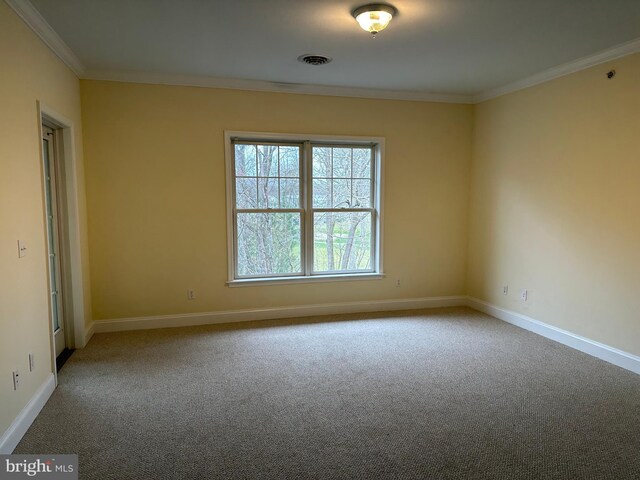 spare room featuring carpet flooring and ornamental molding