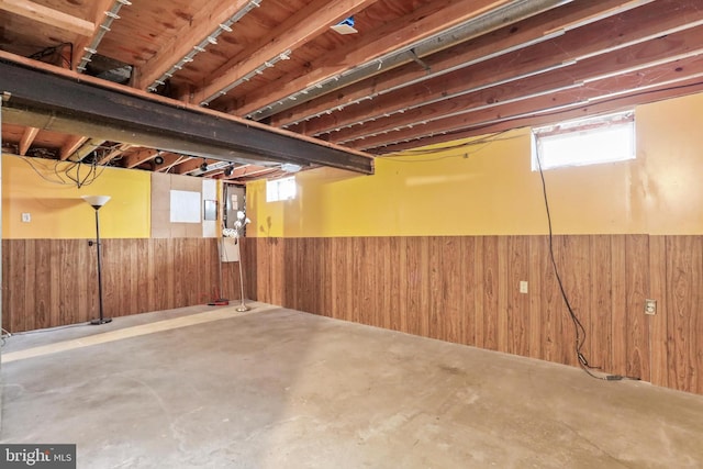 basement with wooden walls