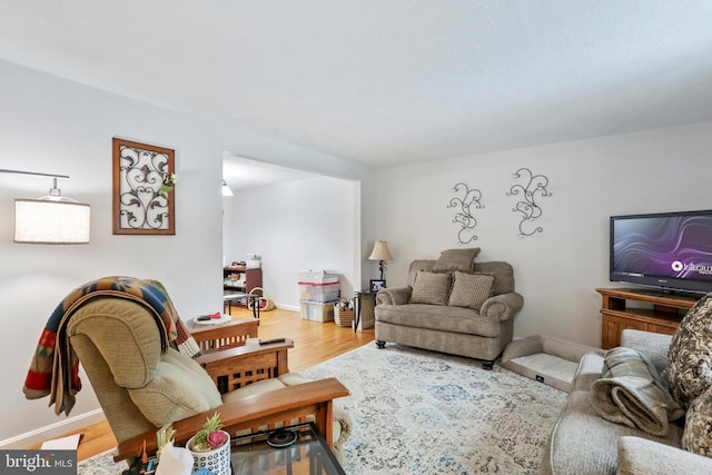 living room with hardwood / wood-style flooring