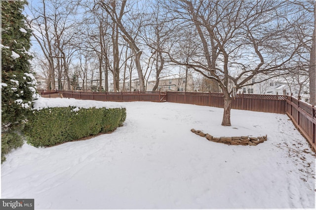 view of snowy yard