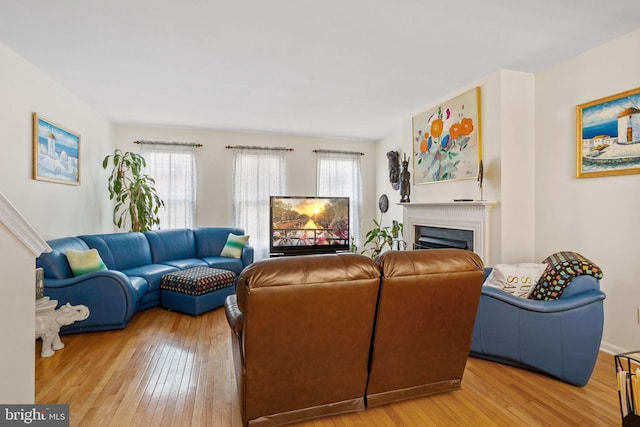 living room featuring a healthy amount of sunlight and wood-type flooring