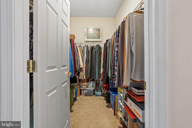 spacious closet with carpet