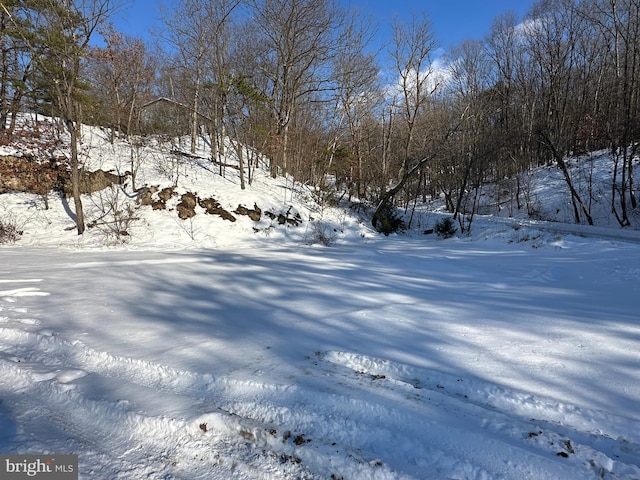 view of yard covered in snow