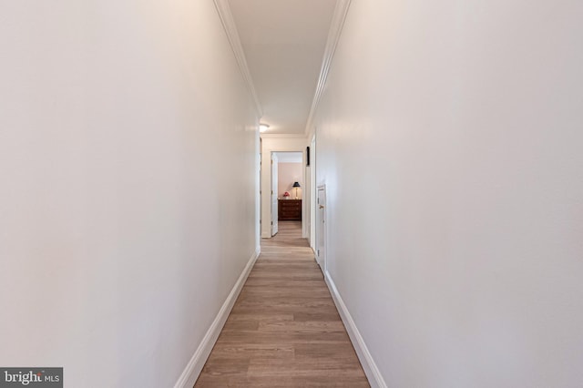 corridor featuring light hardwood / wood-style floors and ornamental molding