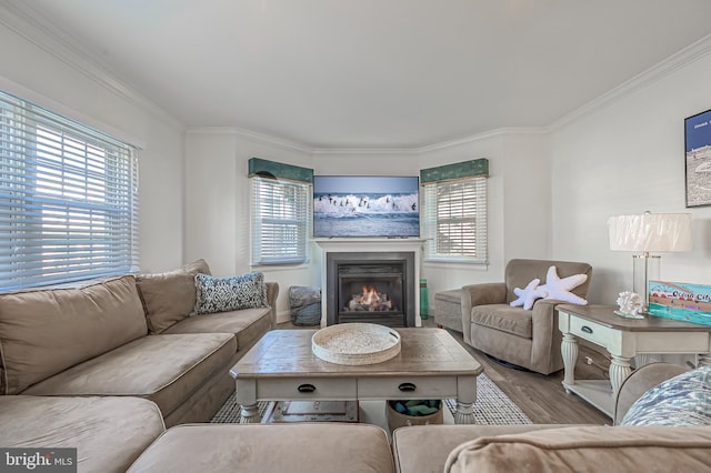 living room featuring hardwood / wood-style flooring and ornamental molding