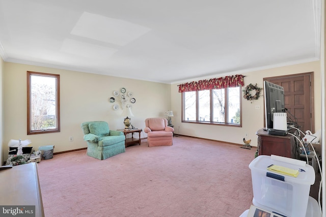 living area featuring carpet flooring and crown molding