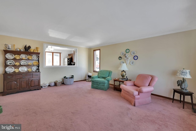 sitting room featuring ornamental molding and light carpet