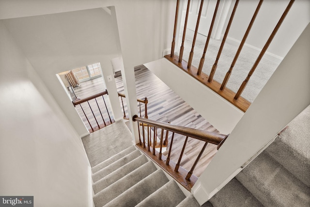 stairway with carpet floors