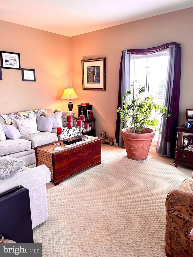 view of carpeted living room