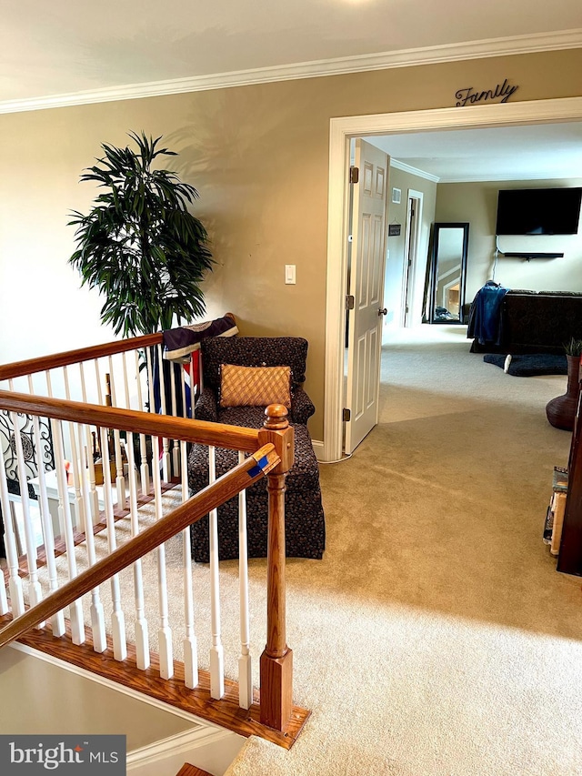 interior space with carpet floors and ornamental molding