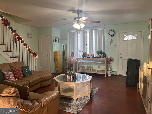 living room with dark hardwood / wood-style floors, a wealth of natural light, and ceiling fan