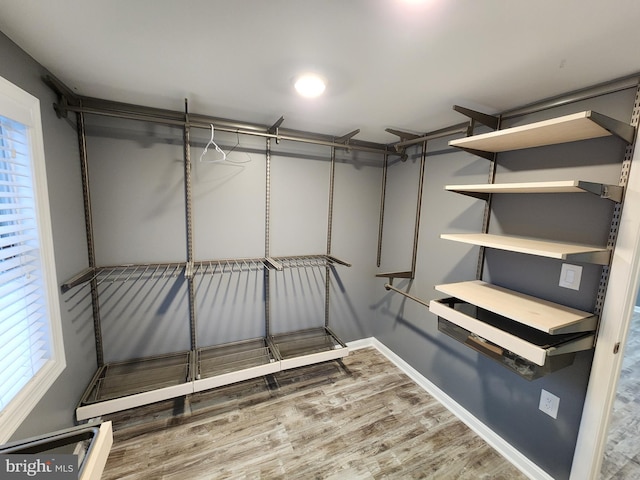 spacious closet featuring wood-type flooring