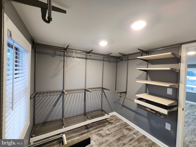 spacious closet featuring wood-type flooring