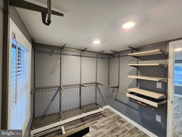 walk in closet featuring hardwood / wood-style flooring