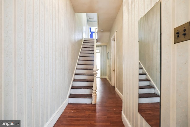 stairway with wood-type flooring