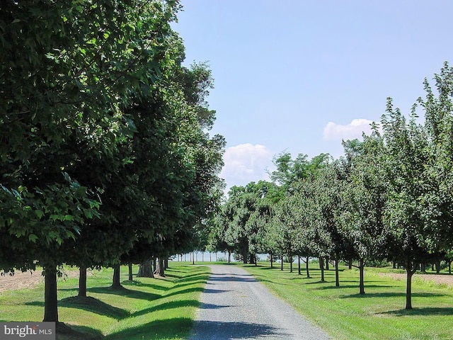 surrounding community with a water view and a yard