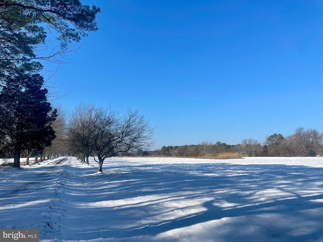 view of yard covered in snow