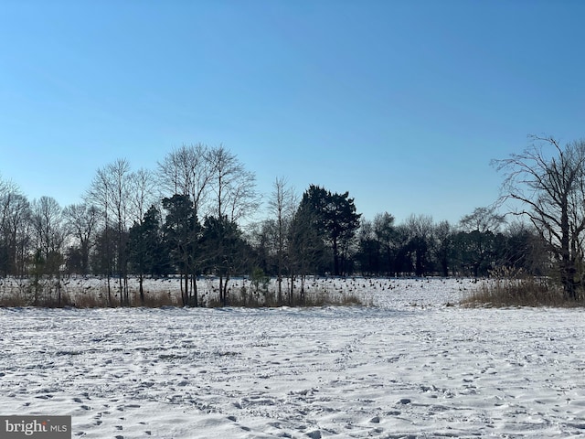 view of yard layered in snow