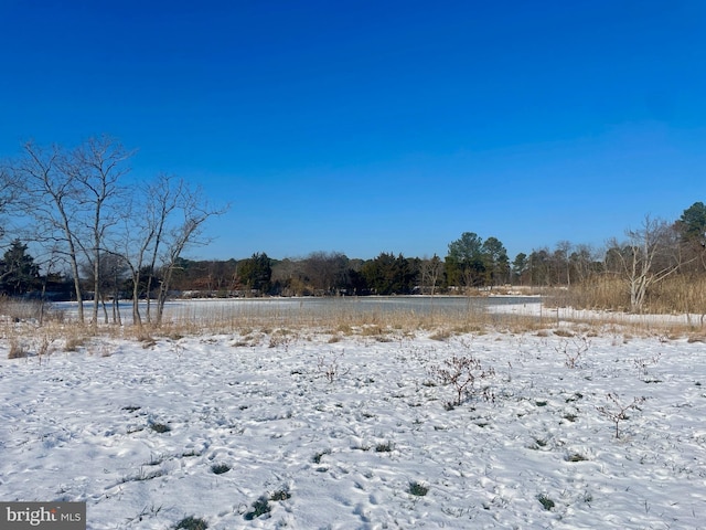 view of snowy yard