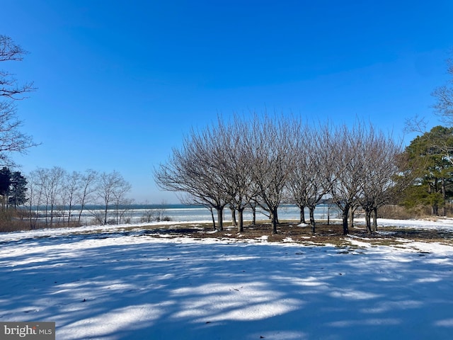 view of yard covered in snow