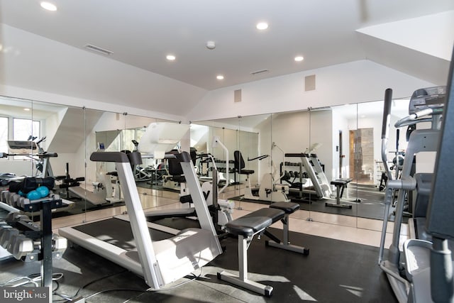 exercise room featuring plenty of natural light and lofted ceiling