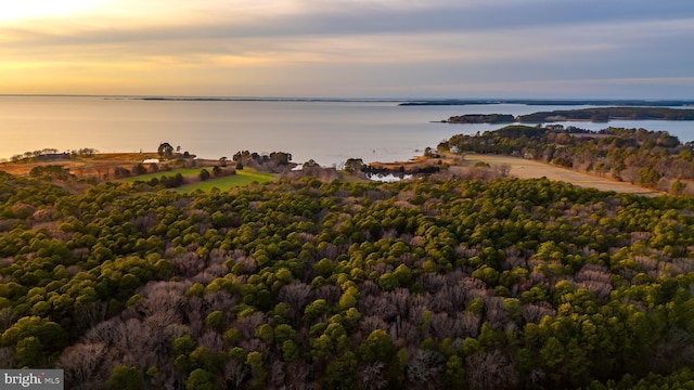 aerial view at dusk featuring a water view