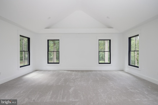 carpeted spare room with a wealth of natural light and lofted ceiling