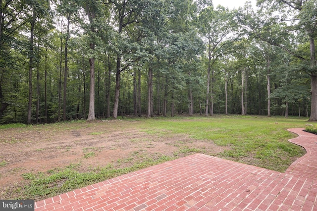 view of yard with a patio area