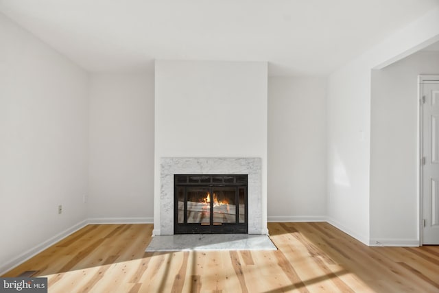 interior details featuring a premium fireplace and hardwood / wood-style floors