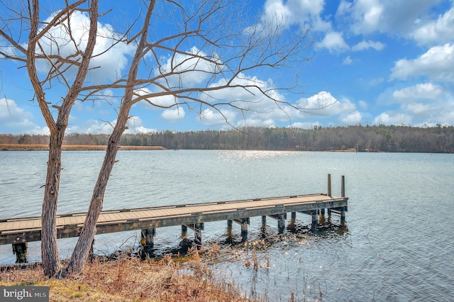 view of dock featuring a water view