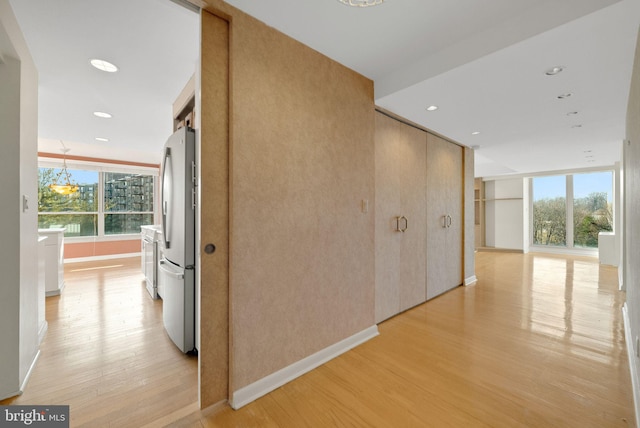 corridor with an inviting chandelier, a wealth of natural light, and light hardwood / wood-style floors