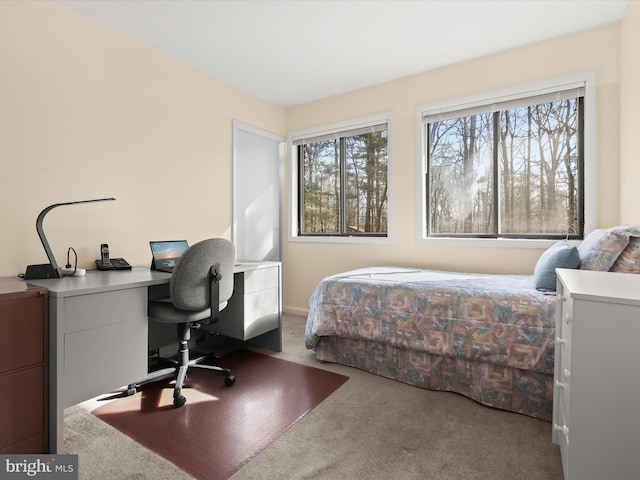 view of carpeted bedroom