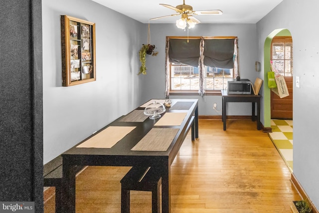 dining space with hardwood / wood-style flooring and ceiling fan