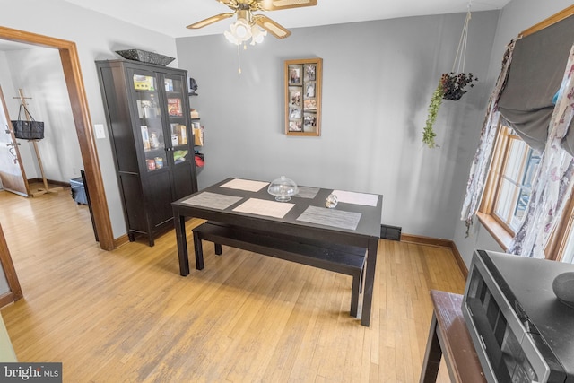 dining area with ceiling fan and light hardwood / wood-style flooring