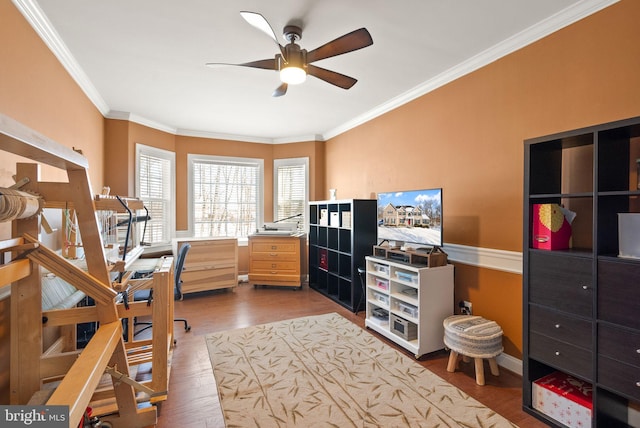 office featuring ceiling fan, wood-type flooring, and crown molding