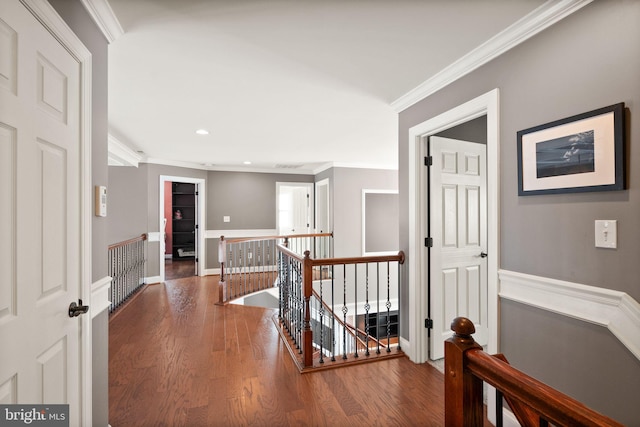 hall with wood-type flooring and ornamental molding