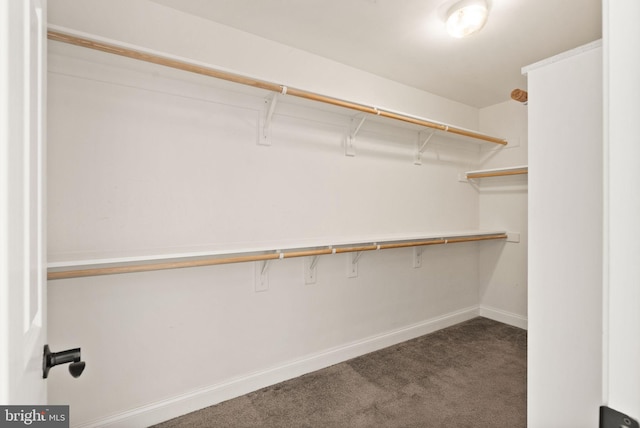 spacious closet featuring dark colored carpet