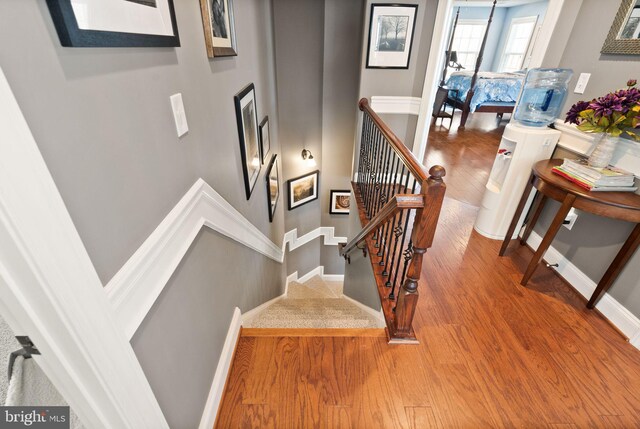 staircase with hardwood / wood-style floors