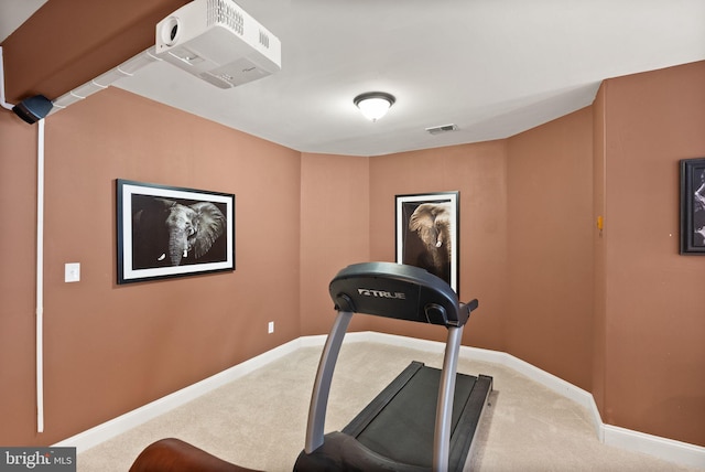 workout room featuring carpet