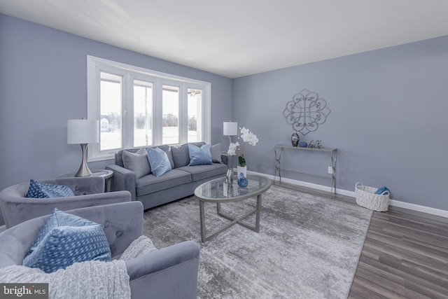 living room with hardwood / wood-style floors